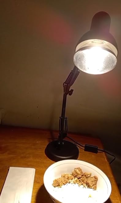Portable Food Heat Lamp - [Foldable Design] [3S Quickly Heating] Food Warmer Light, Commercial Heat Lamp for Food, Catering Warming Lamp for Parties, Buffet, Pizza, Chicken, Chocolate (Black) customer photo 1