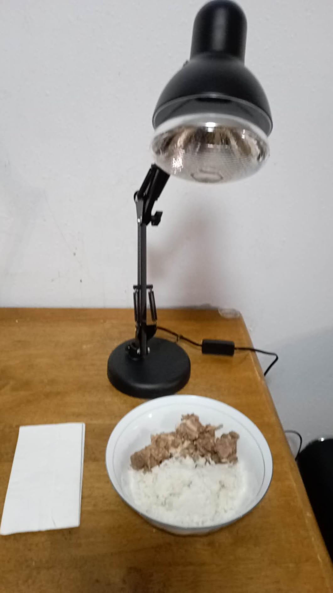 Portable Food Heat Lamp - [Foldable Design] [3S Quickly Heating] Food Warmer Light, Commercial Heat Lamp for Food, Catering Warming Lamp for Parties, Buffet, Pizza, Chicken, Chocolate (Black) customer photo 2