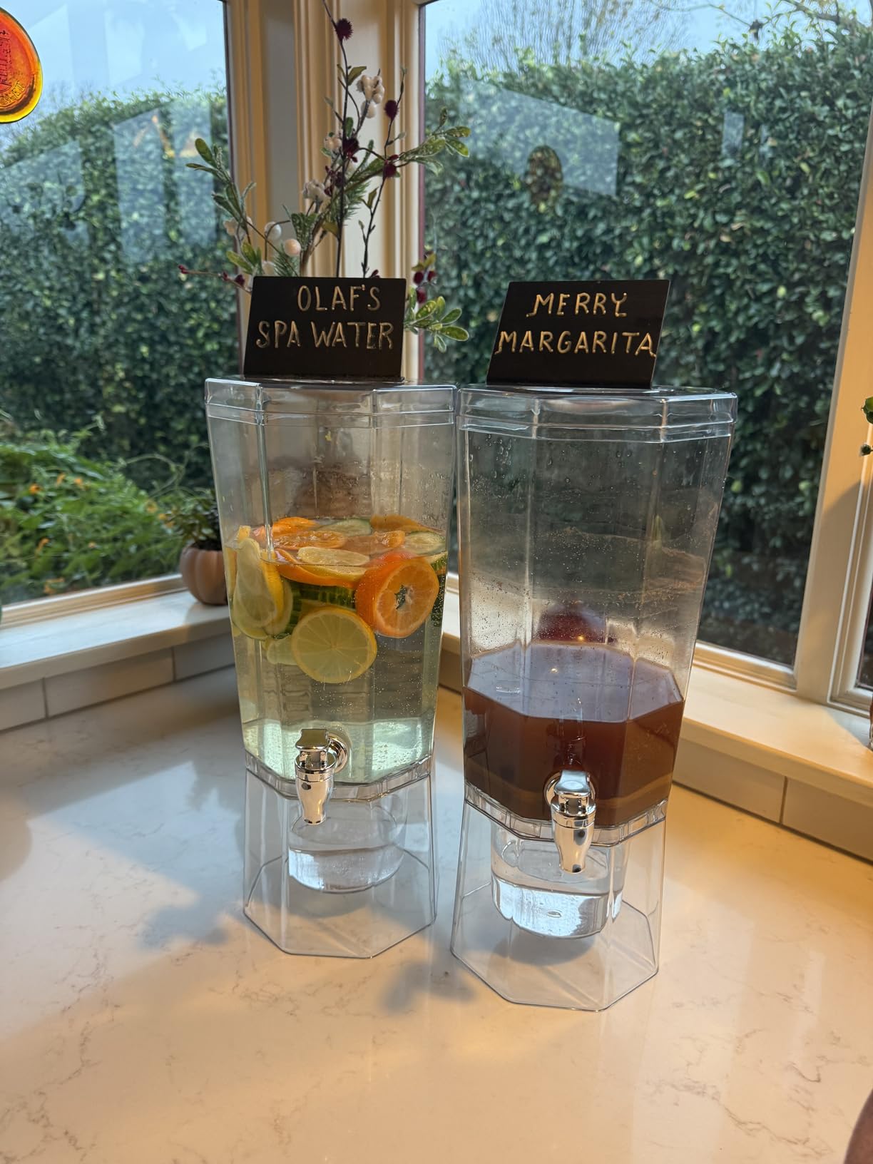 Lifewit 1 Gallon Drink Dispenser for Parties 2 Pcs, 4L Plastic Beverage Container with Stand for Juice/Tea/Soda & Lemonade customer photo 2