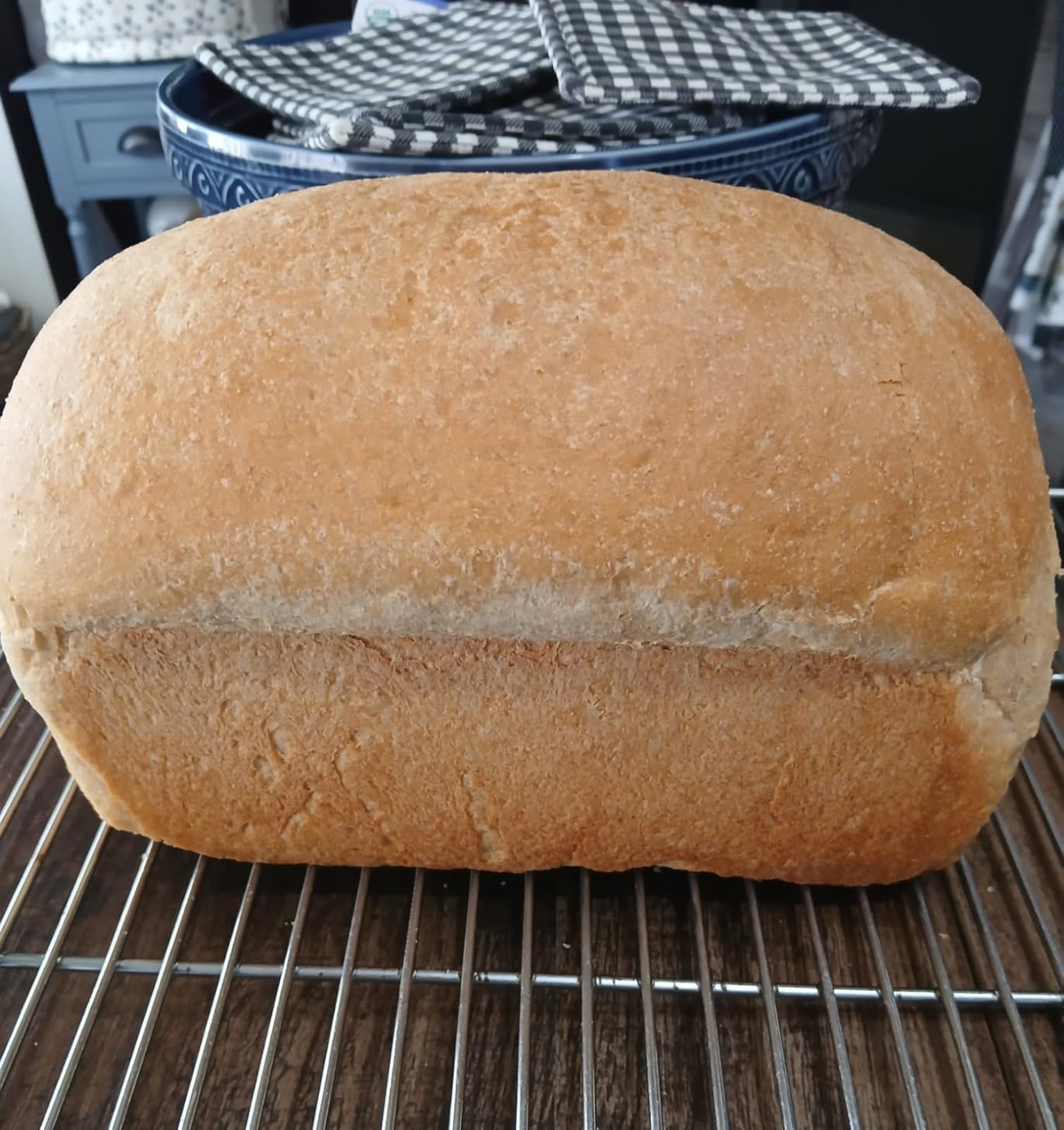 Joydeem Electric Dough Maker with Dual Seasonal Fermentation Function, 3.7Qt Dough Mixer Machine, Perfect for Bread Pizza Roti Dumpling Dough & Sourdough, HMJ-A351 customer photo 2