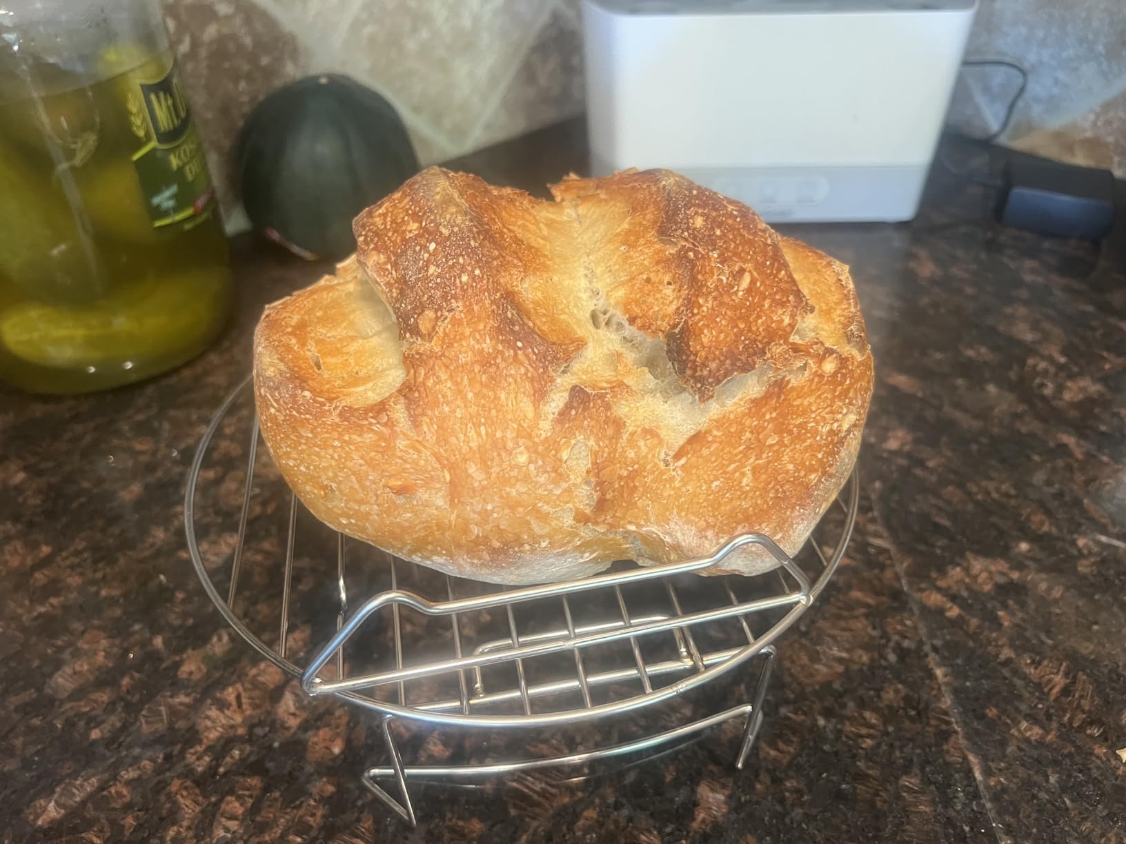 Le Creuset Enameled Cast Iron Signature Oval Bread Oven, 11.5 inch, Sea Salt customer photo 1