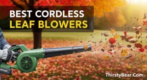 Best Cordless Leaf Blowers