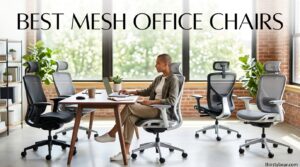 Best Mesh Office Chairs