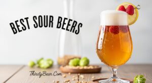 Best Sour Beers
