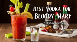 Best Vodka for Bloody Mary