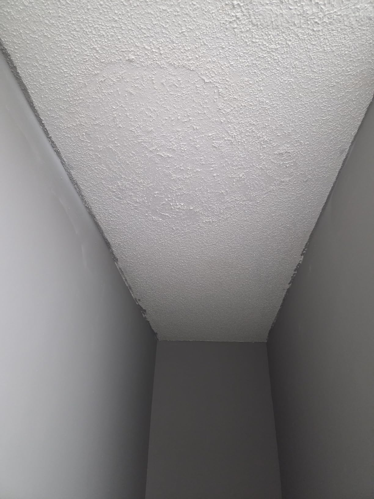 Zinsser 03688 Covers Up Stain Sealing Ceiling Paint, White customer photo 1