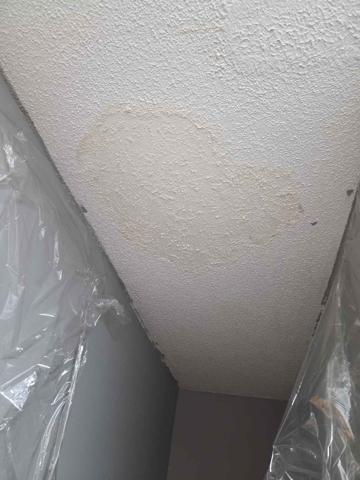 Zinsser 03688 Covers Up Stain Sealing Ceiling Paint, White customer photo 2