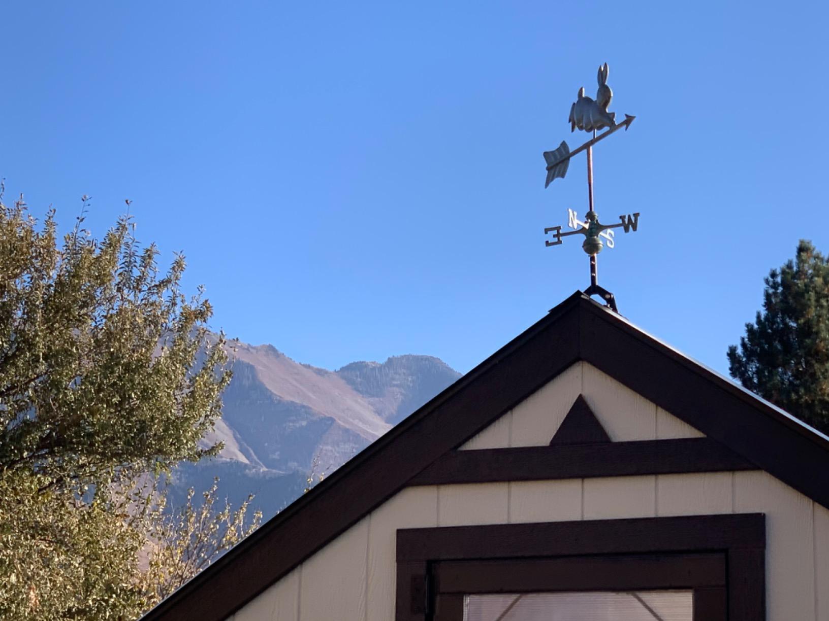 Good Directions 809V1R Rabbit Roof Mount, Blue Verde Copper Weathervane customer photo 2