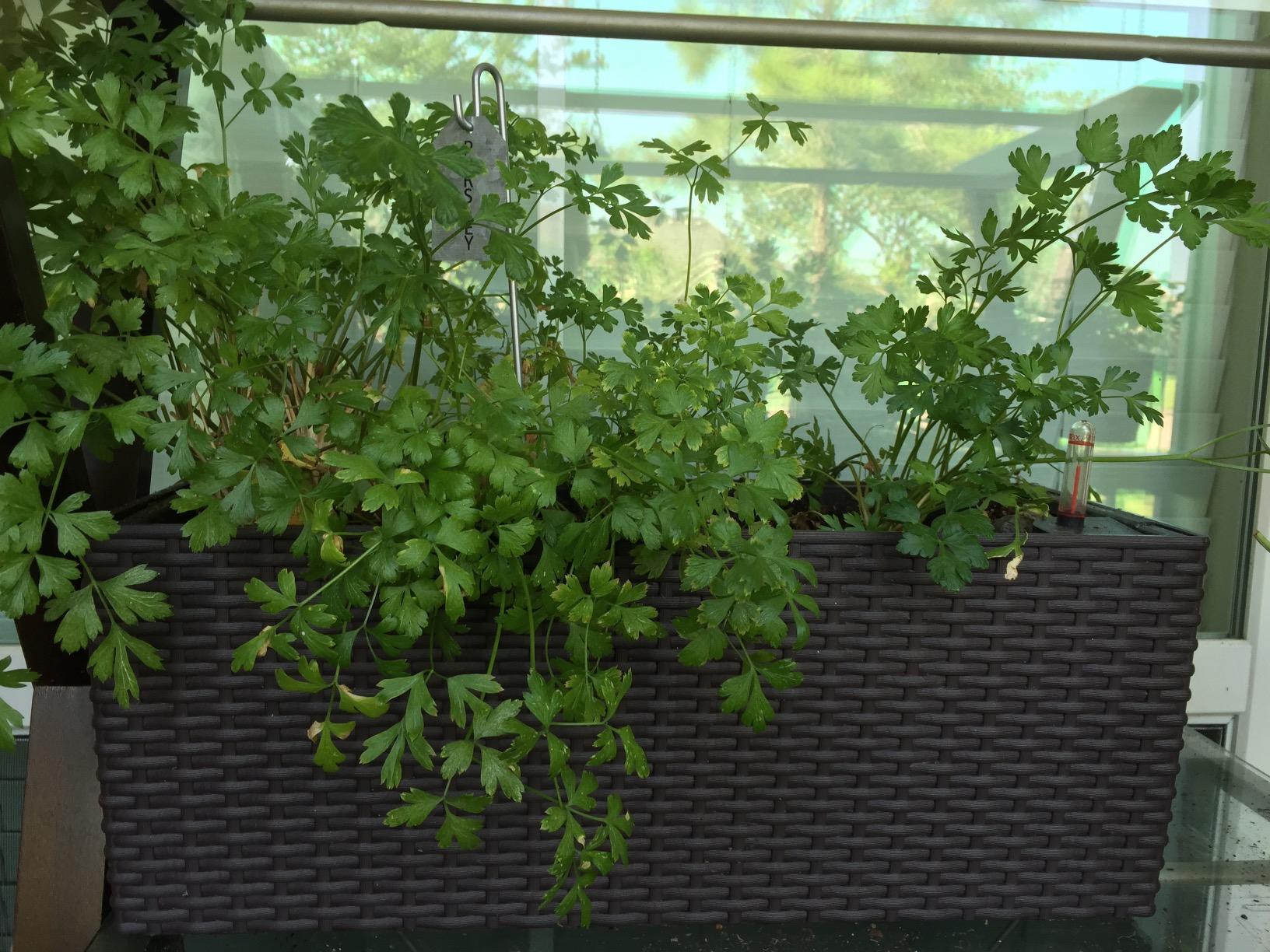 Lechuza BALCONERA Cottage 80 White, Self-Watering Window Box (Railing Planter), H7.5 L31.5 W7.5 in customer photo 1