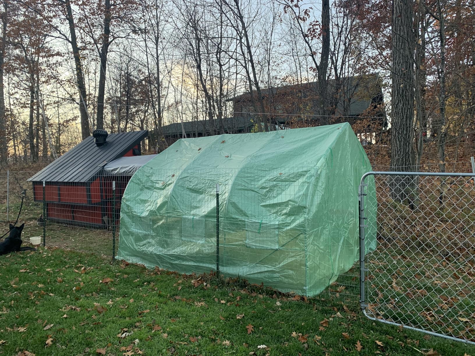 Outsunny 11.5' x 10' x 6.5' Outdoor Walk-in Greenhouse, Tunnel Green House with Roll-up Windows, Zippered Door, PE Cover, Heavy Duty Steel Frame, Green customer photo 1