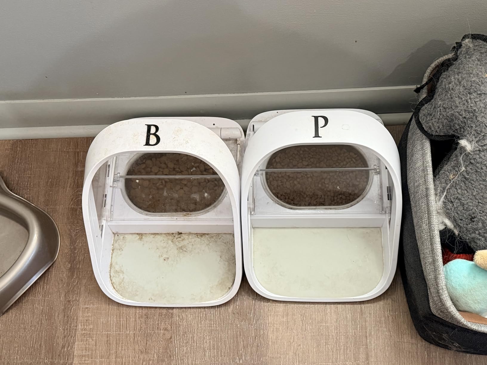 Sure Petcare - SureFeed - Microchip Pet Feeder - Selective-Automatic Pet Feeder Makes Meal Times Stress-Free, Suitable for Both Wet and Dry Food - MPF001 customer photo 1