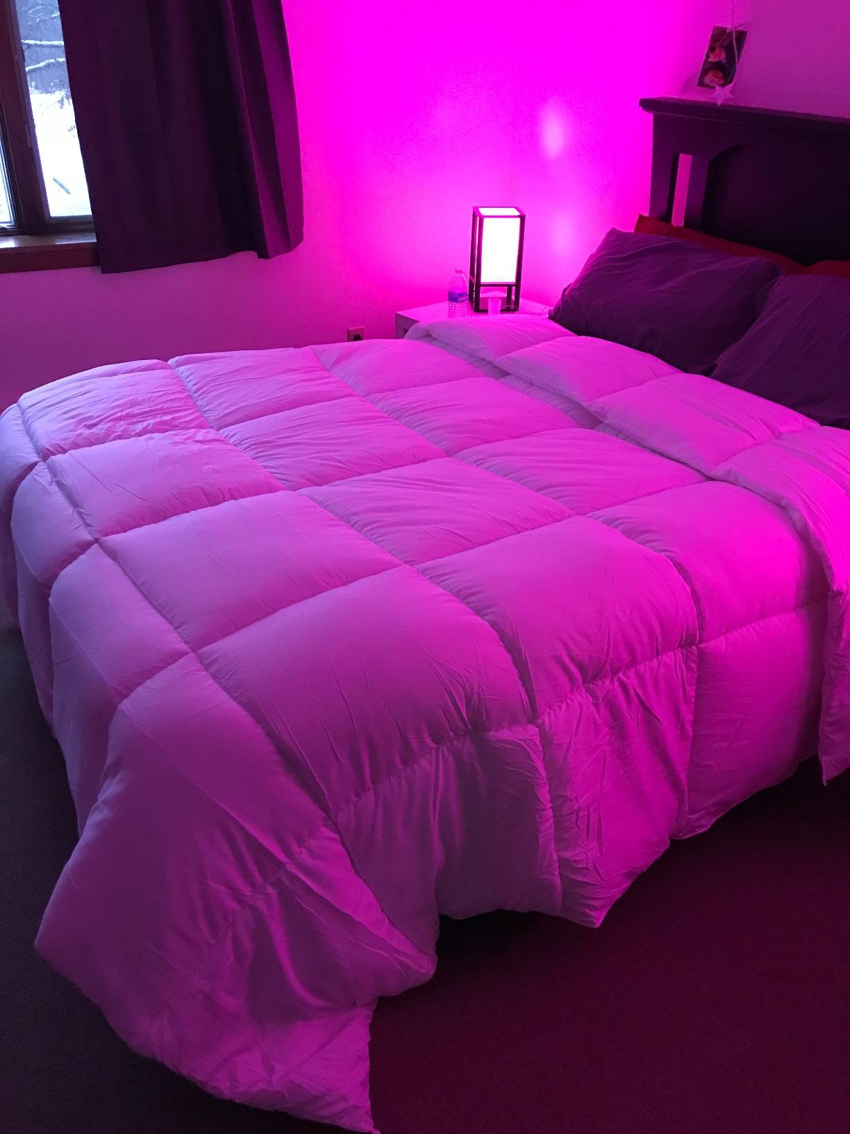 Utopia Bedding Queen Comforter Duvet Insert, Quilted White Comforter with Corner Tabs, Box Stitched Down Alternative Comforters Queen Size 88 x 88 inches customer photo 2