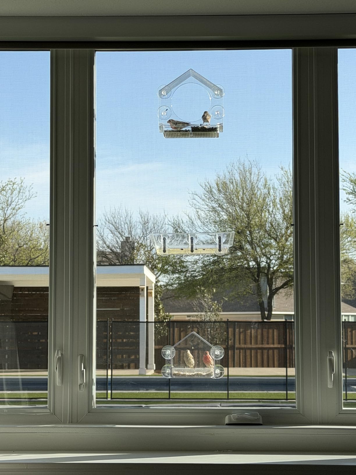 Nature Anywhere Window Bird Feeder - Weather Proof Transparent Acrylic Bird Feeders for Outdoors customer photo 1