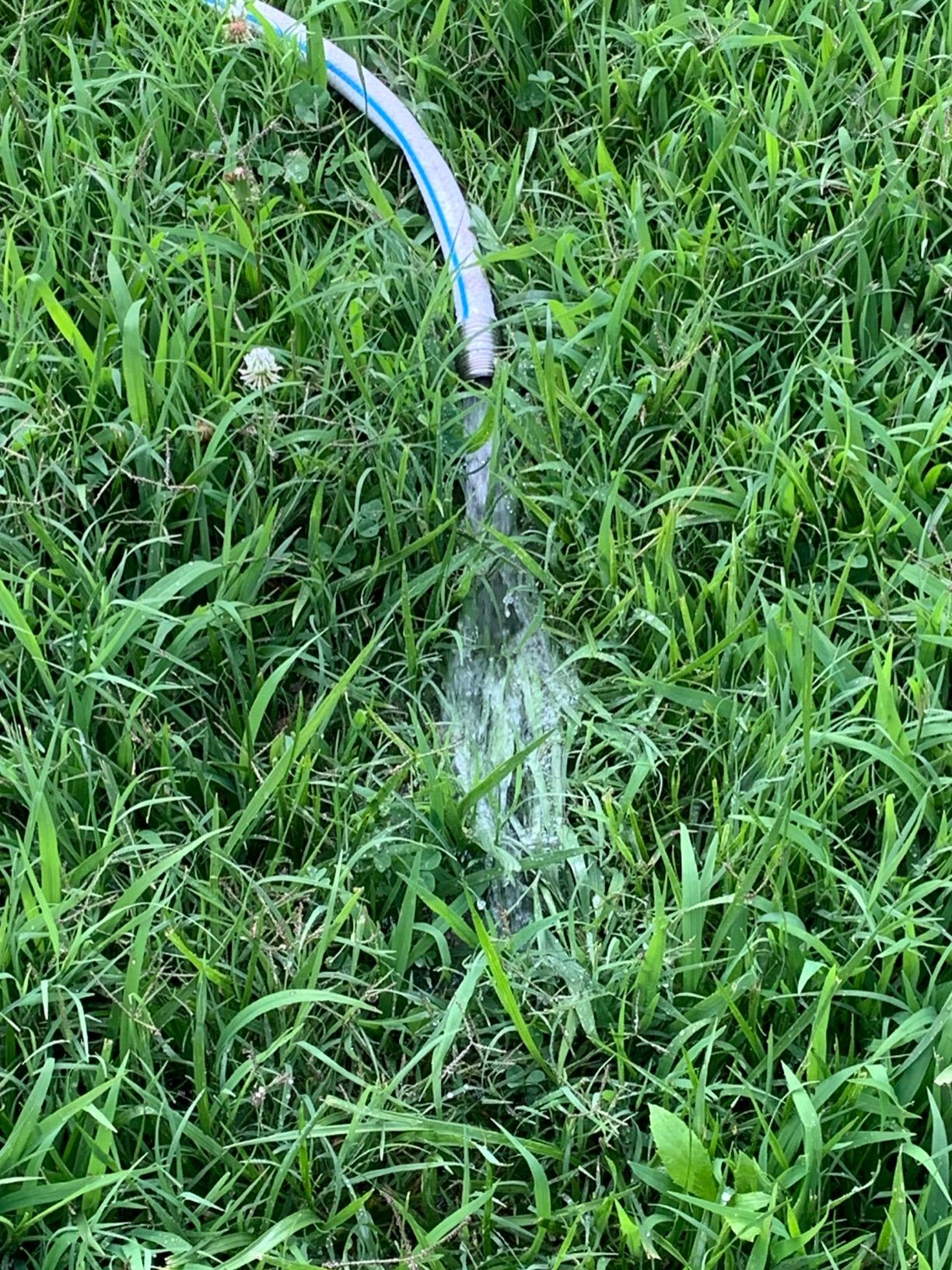 Wayne WaterBUG 1/6 HP 1350 GPH Submersible Pump with Multi-Flo Technology - Water Removal and Transfer Pump, Yellow customer photo 1