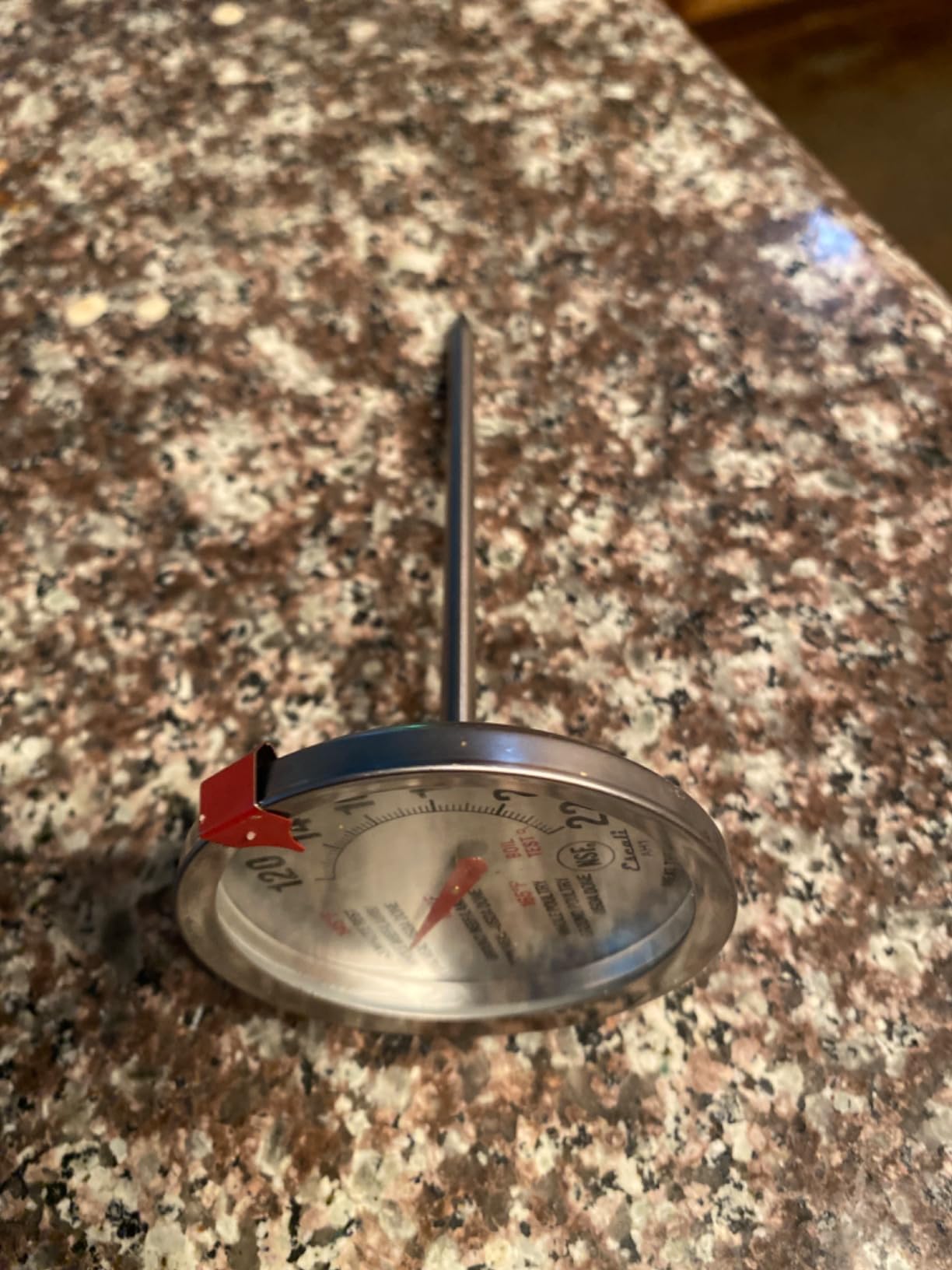 Escali AH1 Stainless Steel Oven Safe Meat Thermometer, Extra Large 2.5-inches Dial, Temperature Labeled for Beef, Poultry, Pork, and Veal Silver NSF Certified customer photo 2