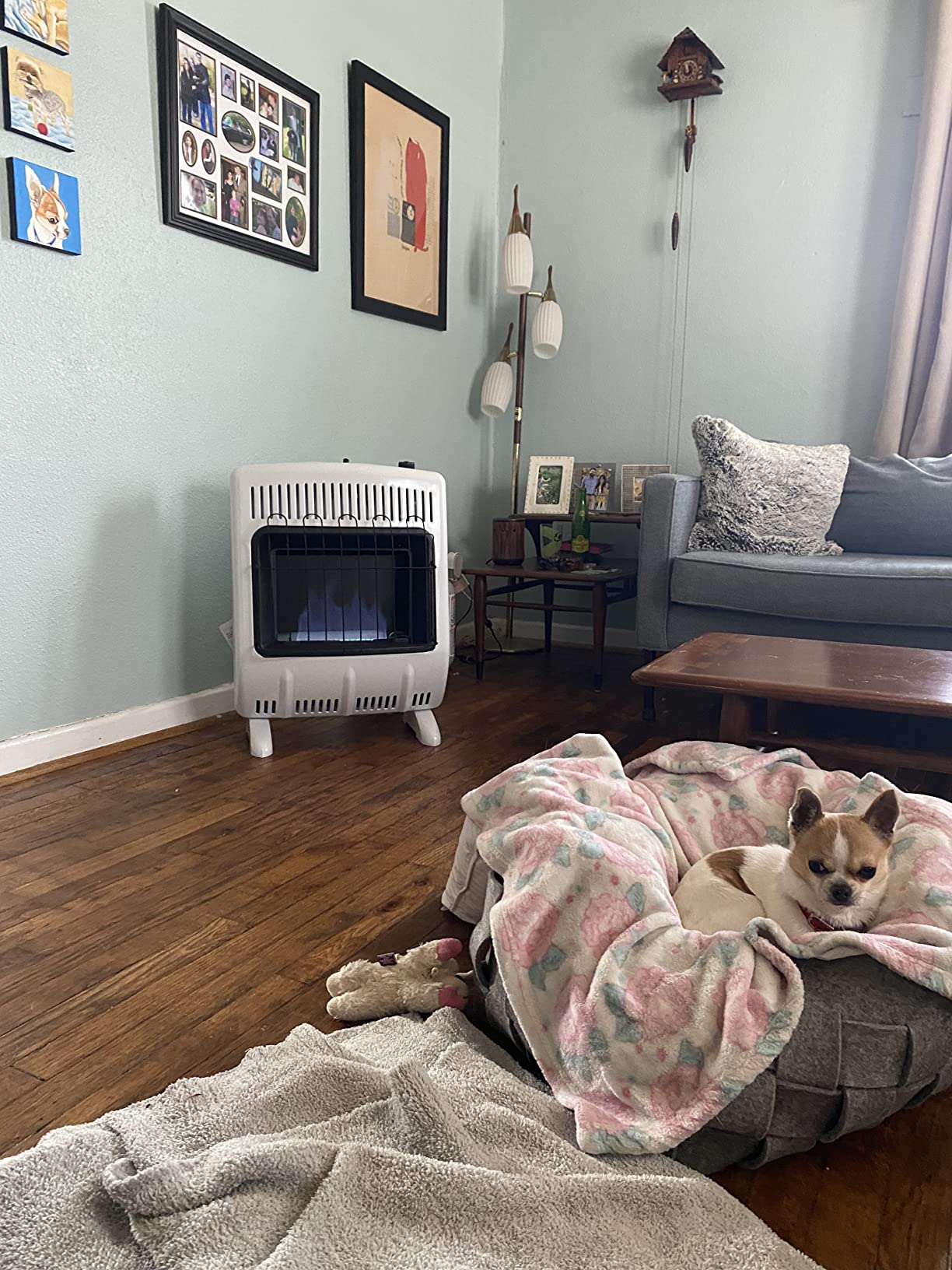 Mr Heater 20,000 BTU Vent Free Blue Flame Propane Heater customer photo 1