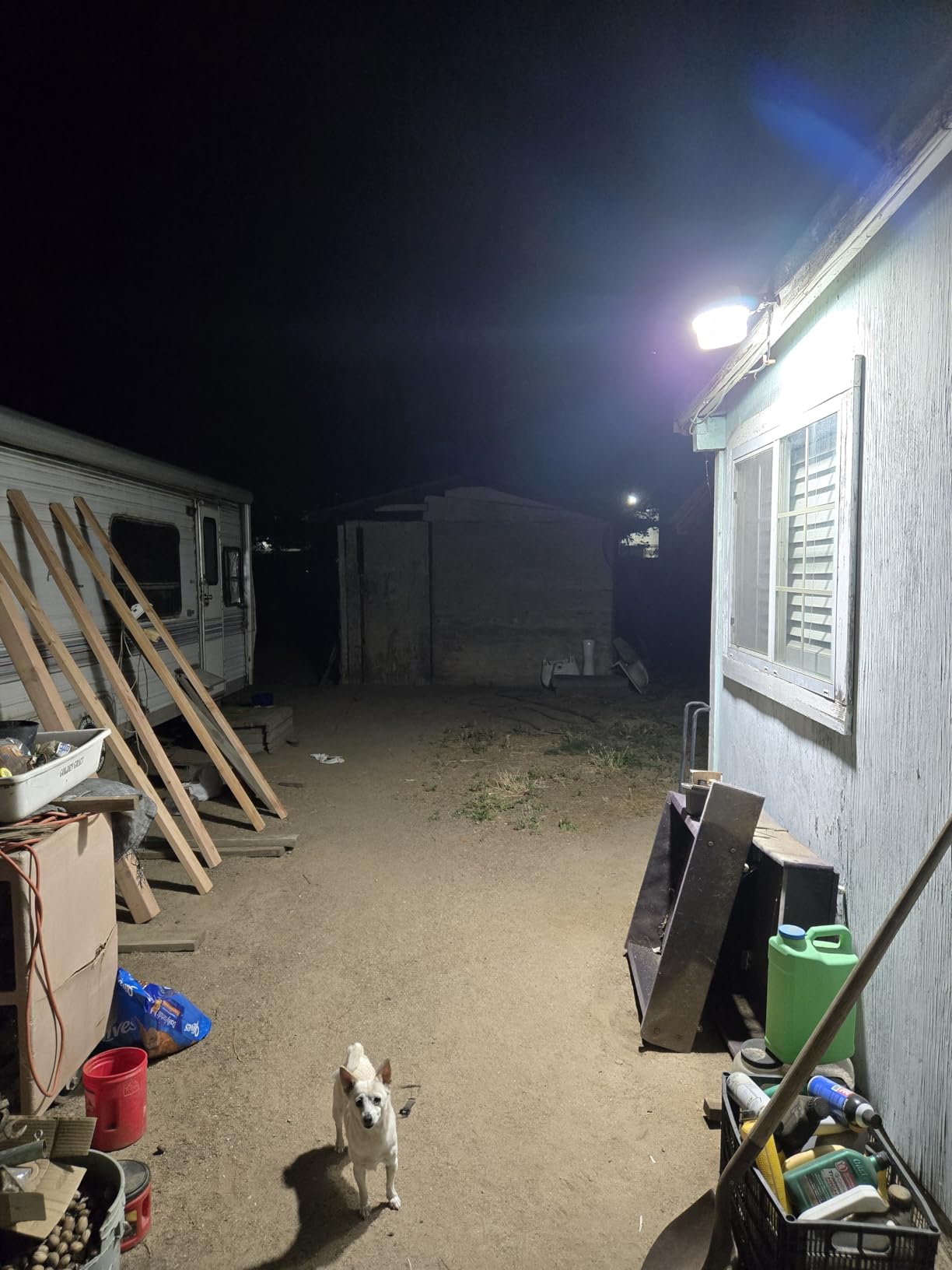 TORCHSTAR LED Barn Light, Dusk to Dawn Area Lights with Photocell, Outdoor Security Flood Lighting, ETL & FCC Listed, IP65 Waterproof, Aluminum Housing, 110-277V, Garage, Yard, 5000K Daylight, Bronze customer photo 2