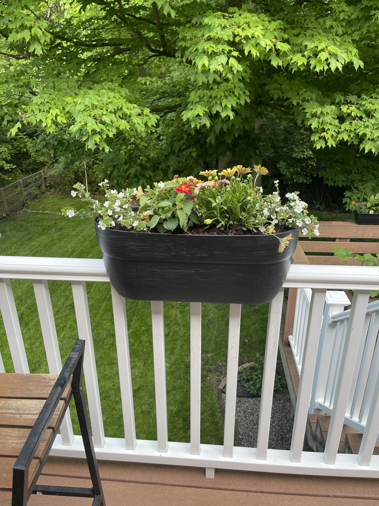 Bloomers Railing Planter with Drainage Holes - 24