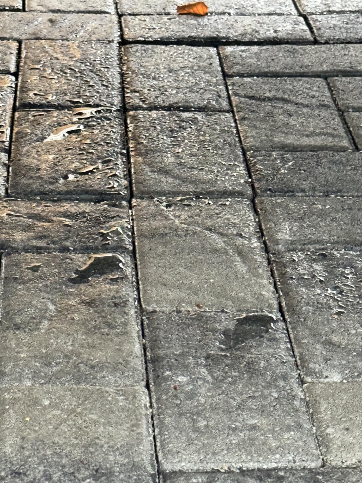Rain Guard Concrete Sealer 5 Gallon | Ready to Use | Natural Finish | Deep Penetrating Protection Against Water and Salt Damage for All Concrete Surfaces | Silane/Siloxane Waterproofer customer photo 1