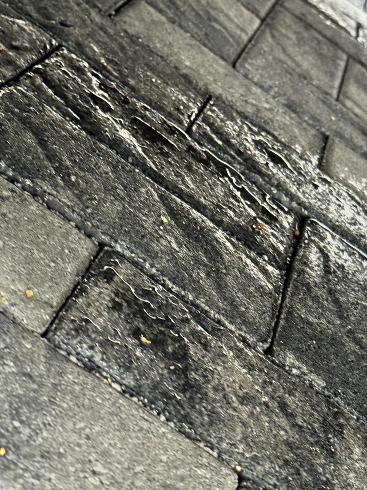Rain Guard Concrete Sealer 5 Gallon | Ready to Use | Natural Finish | Deep Penetrating Protection Against Water and Salt Damage for All Concrete Surfaces | Silane/Siloxane Waterproofer customer photo 2