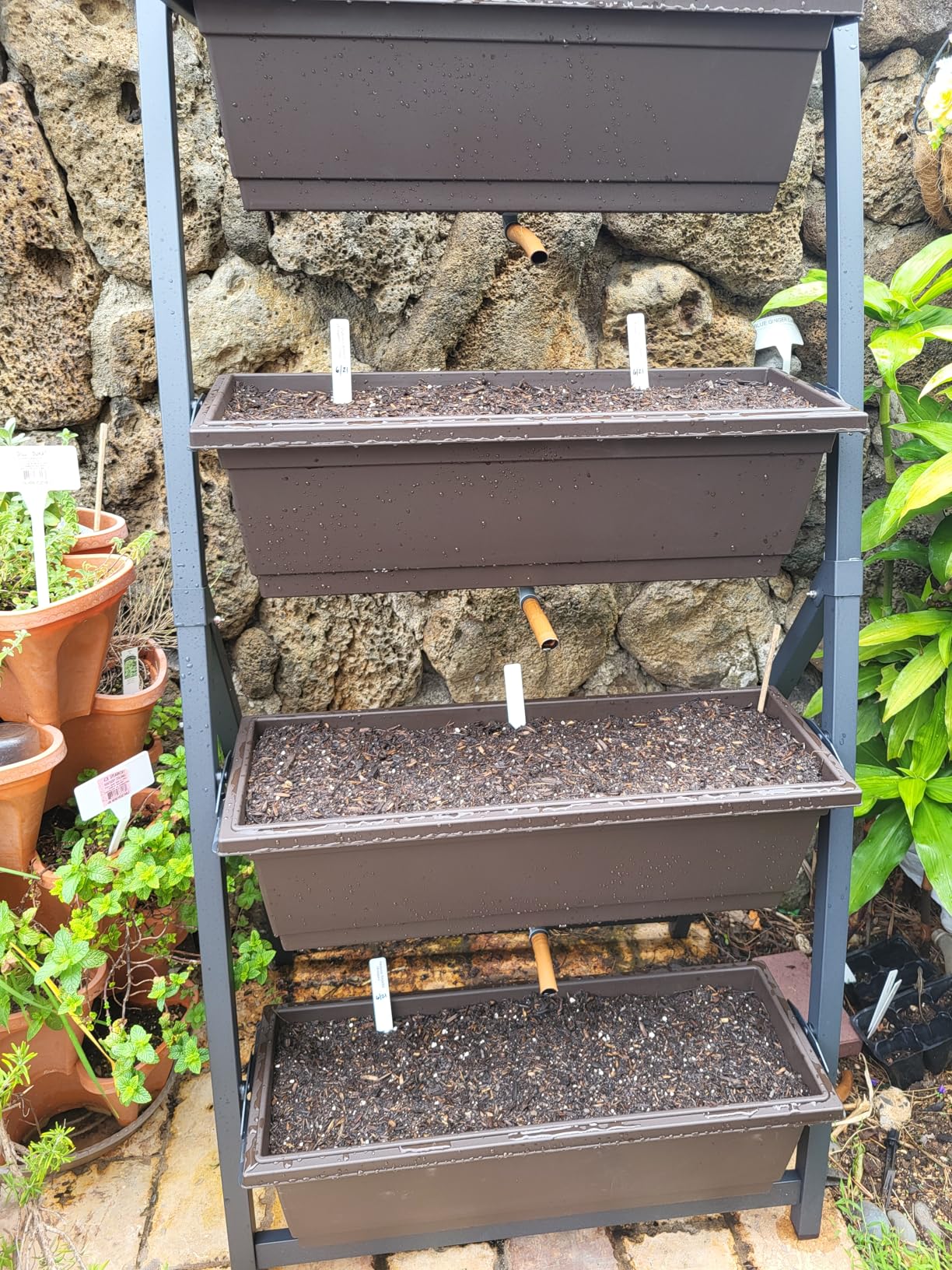 6-Ft Raised Garden Bed - Vertical Garden Freestanding Elevated Planter with 4 Container Boxes customer photo 2