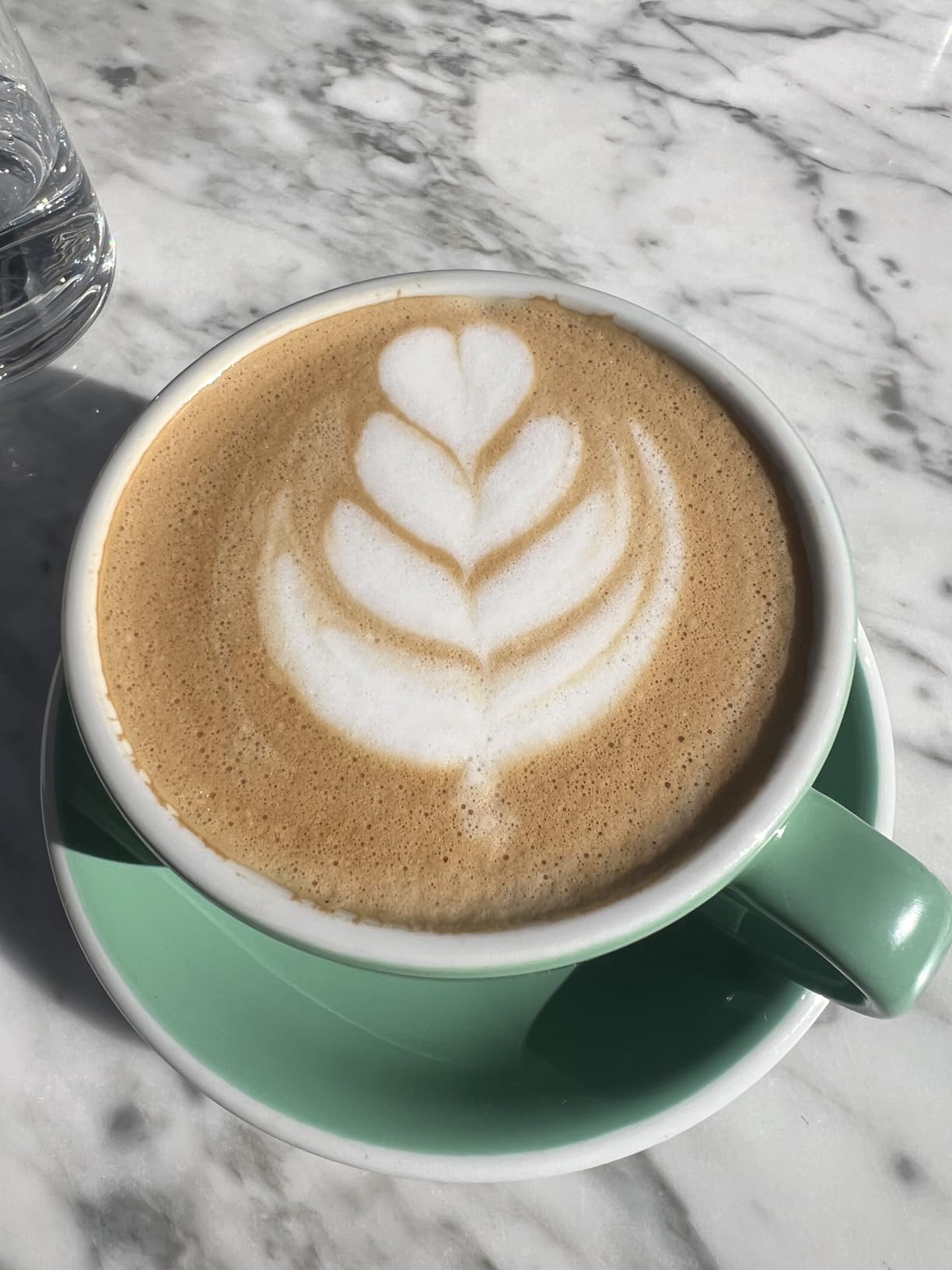 Counter Culture Coffee - Whole Bean Coffee - Freshly Roasted Coffee Beans - Premium Coffee - Multiple Flavors - One 12 Ounce Bag of Each (Fast Forward) customer photo 1