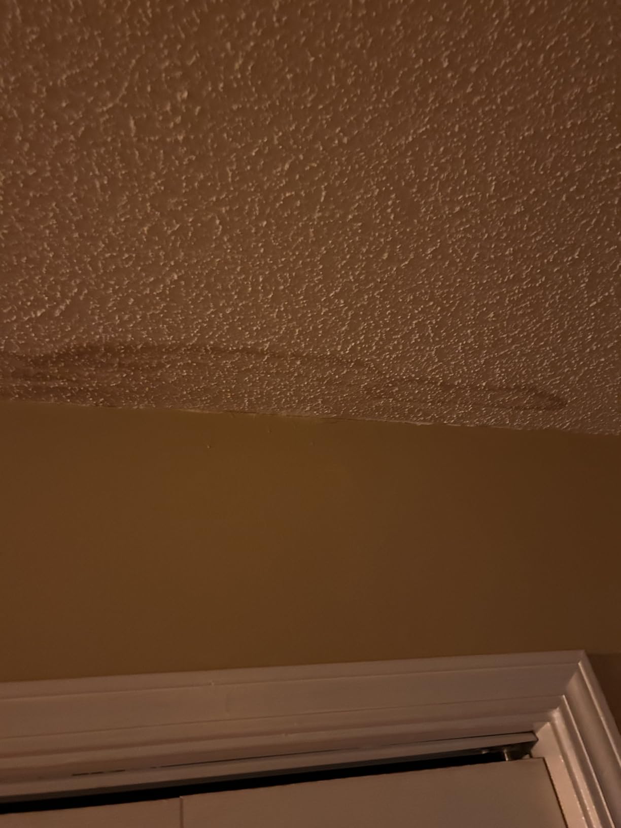 Zinsser Ceiling Acrylic Paint & Primer in One, 13 oz, Flat White customer photo 2