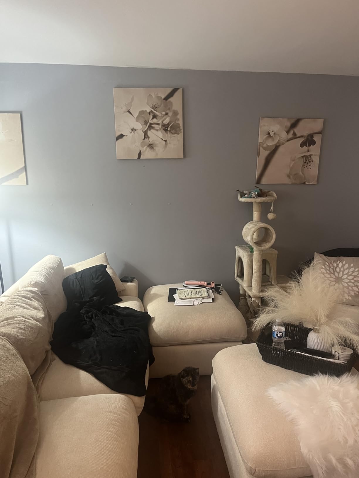 RECOLOR Eco-Friendly Interior Premium Latex Paint for Walls, Eggshell Finish, 1 Gallon, Canvas customer photo 2