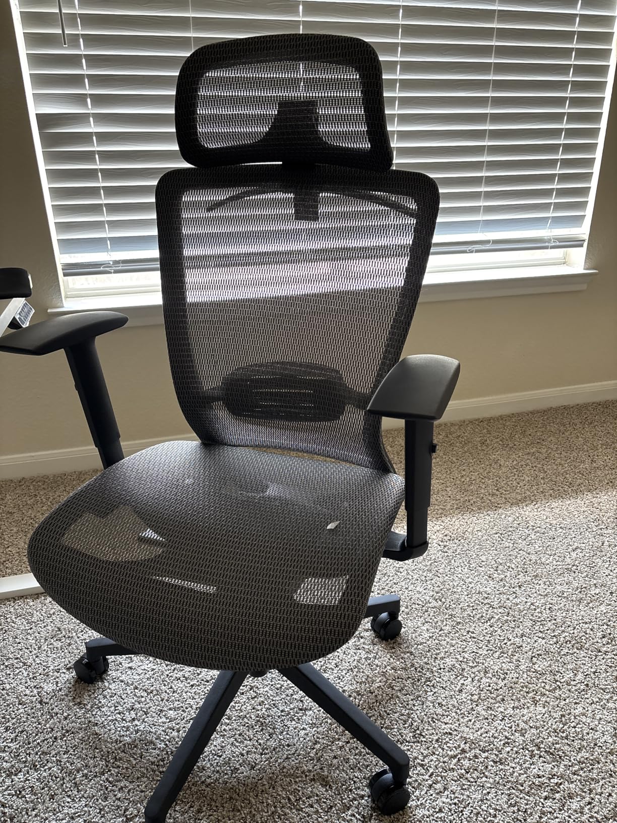 FLEXISPOT Ergonomic Office Chair, High Back Mesh Swivel Computer Chair, Executive Office Desk Chairs, with Adjustable Lumbar Support/2D Headrest/Lockable Backrest, OC3 Mesh Seat, Gray customer photo 1