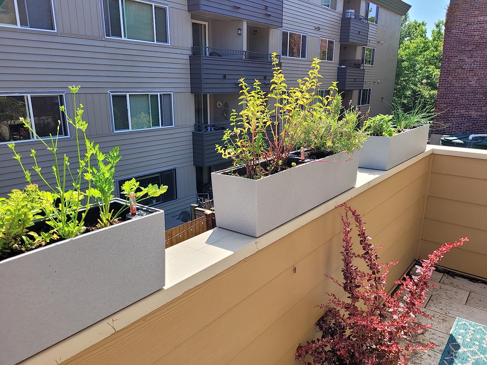 Lechuza BALCONERA Stone 80 Stone Grey, Self-Watering Window Box (Railing Planter), H7.5 L31.1 W7.5 in customer photo 2