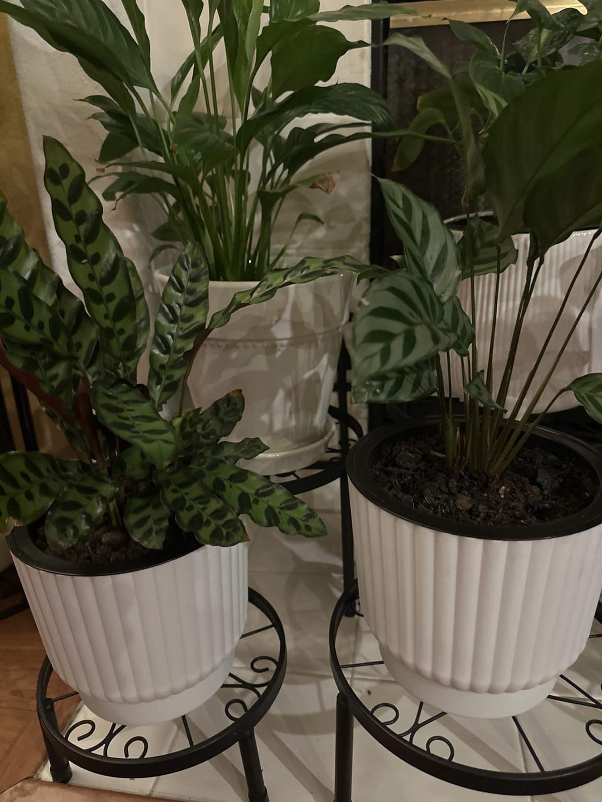 T4U 6 Inch Self Watering Pots for Indoor Plants, 6 Pack Plant Pots, Self Watering Planter for Indoor Plants, Durable Plastic Pots, Flower, Succulents (6 Pack, 6