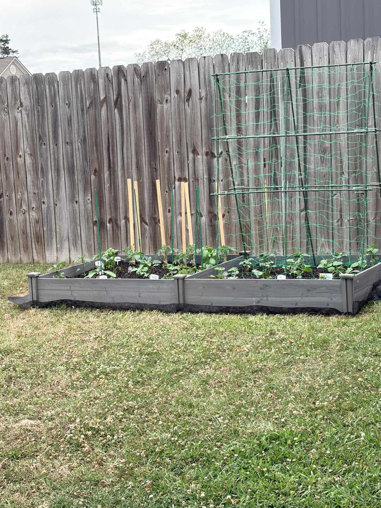 Yaheetech 8×2ft Wooden Horticulture Raised Garden Bed Divisible Elevated Planting Planter Box for Flowers/Vegetables/Herbs in Backyard/Patio Outdoor, Natural Wood, 95 x 25 x 11in customer photo 1