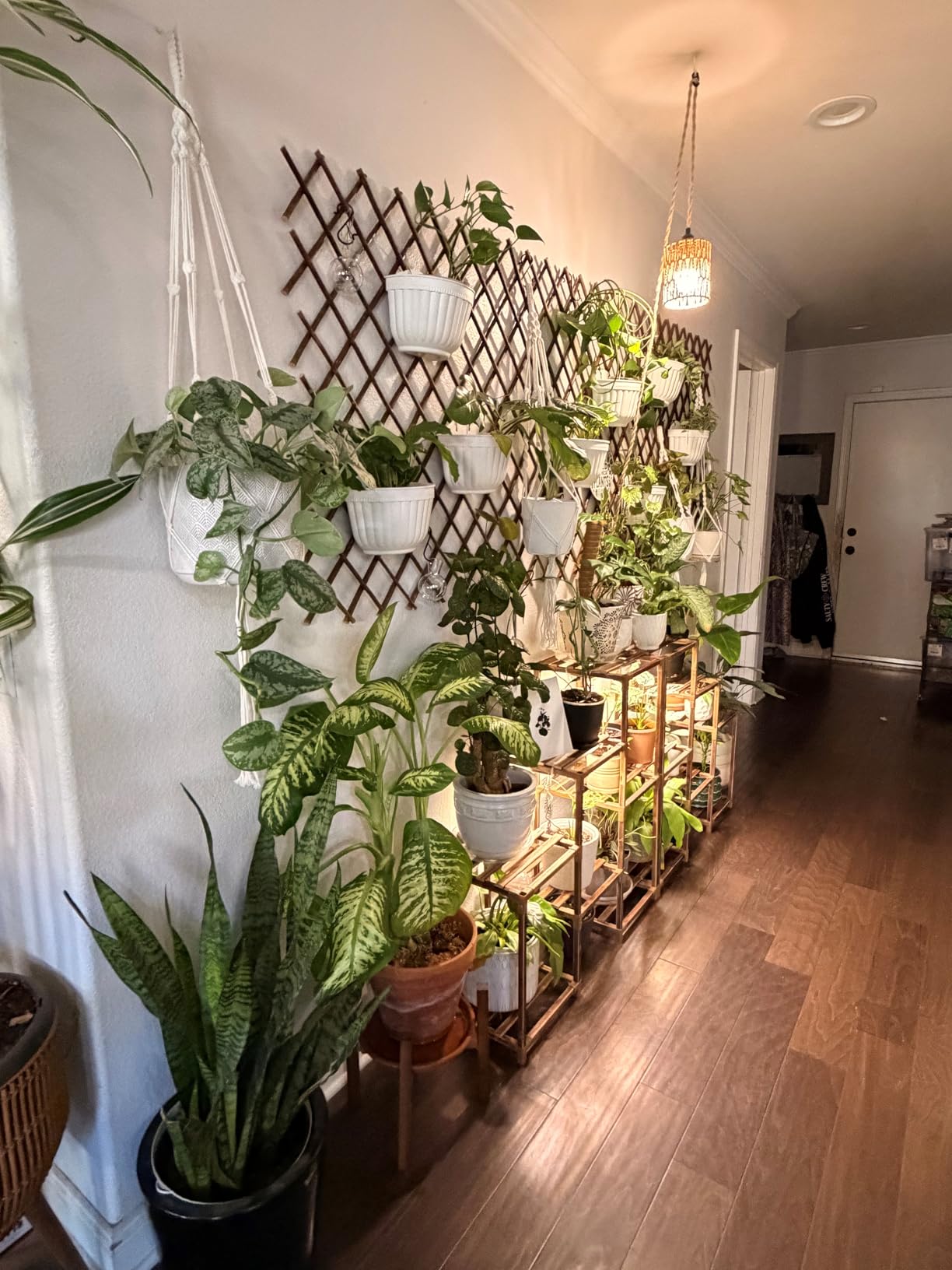 6 Pack Hanging Planter Wall Planter Self Watering 5 inch Plant Pot with Hardware Vertical Planter Outdoor Indoor Plants Herb Garden Home Decor Kitchen Balcony Railing Shelf Fence (Medium) customer photo 2