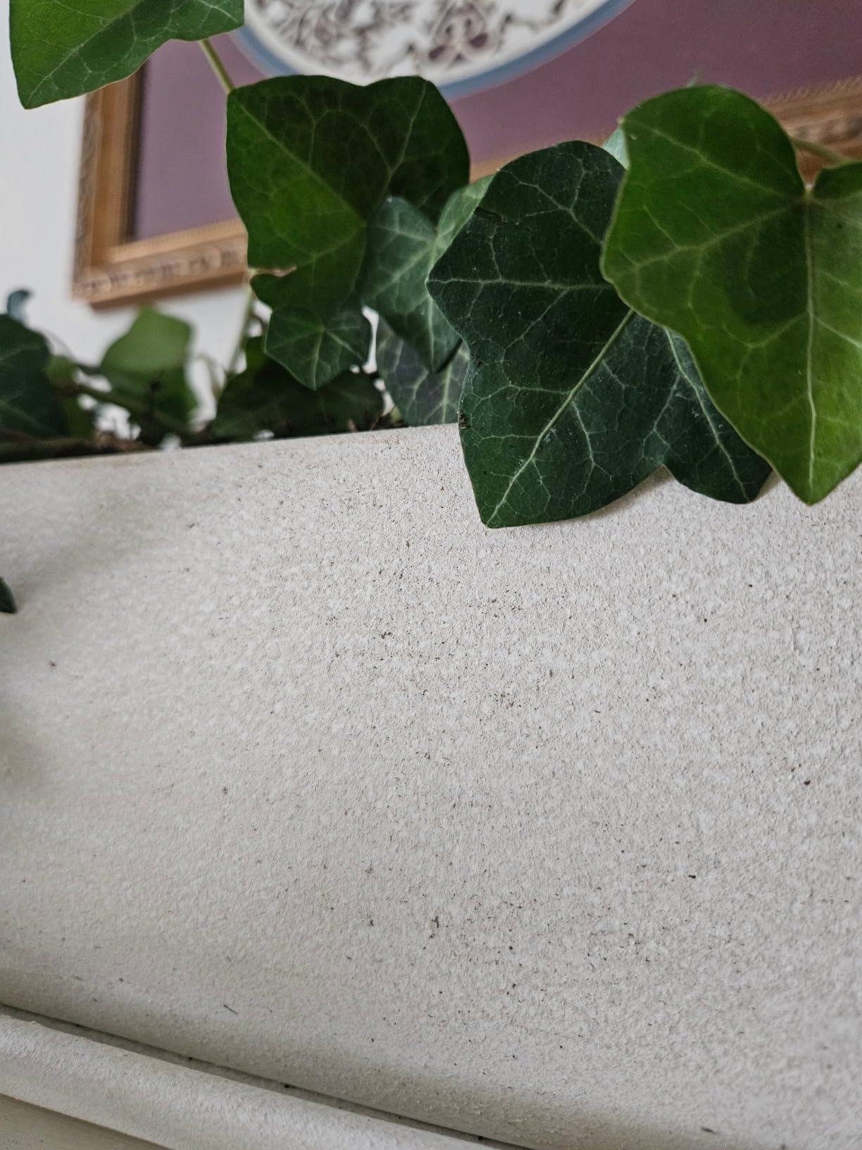 MyGift 14 Inch Ceramic Indoor Plant Pot with Drainage Hole, Rectangular Succulent Planter Window Box with Removable Saucer, Unglazed White customer photo 2