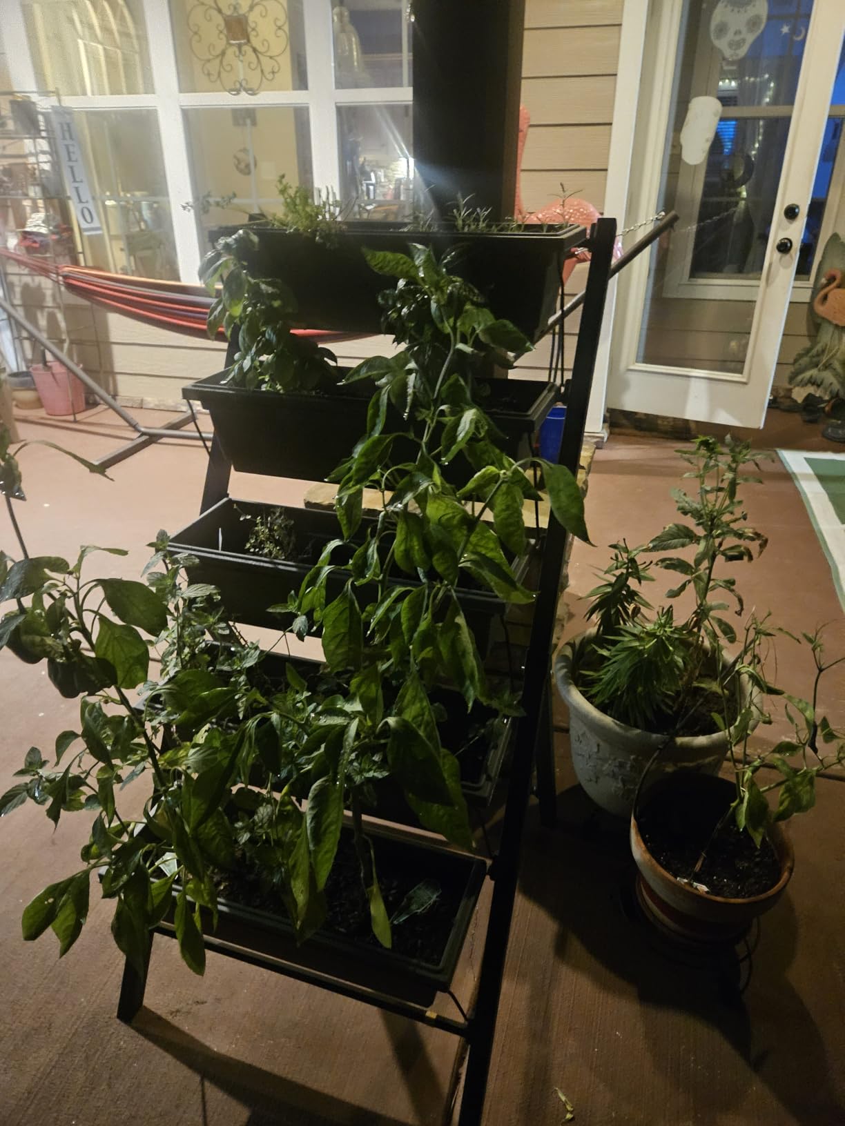 Outland Living 4Ft Vertical Raised Garden Bed - 5 Tier Food Safe Planter Box for Outdoor and Indoor Gardening customer photo 1