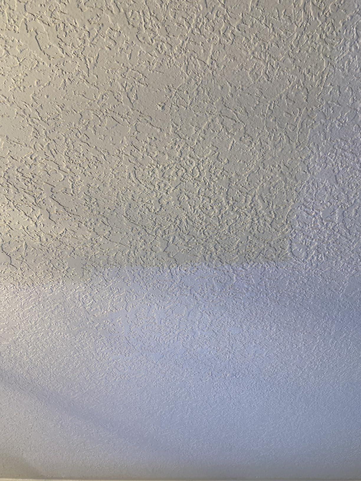 INSL-X Color-Changing Ceiling Paint, White, 1 Gallon customer photo 2