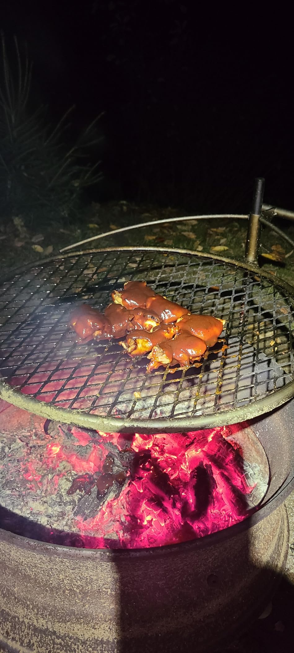 Outpost Grill 24 - Campfire Grill - Breeo X Series Accessory - Stainless Steel, Durable, USA Made - Campfire Grate - Camping Cooking Rack - Fire Pit Accessories customer photo 2