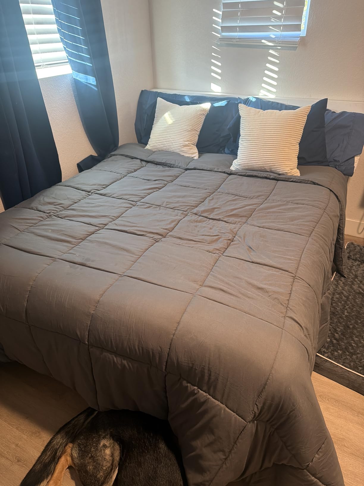 TEXARTIST Premium 2100 Series Queen Comforter All Season Breathable White Comforter Soft 4D Spiral Fiber Quilted Down Alternative Duvet Insert with Corner Tabs Luxury Hotel Style (88x88) customer photo 1