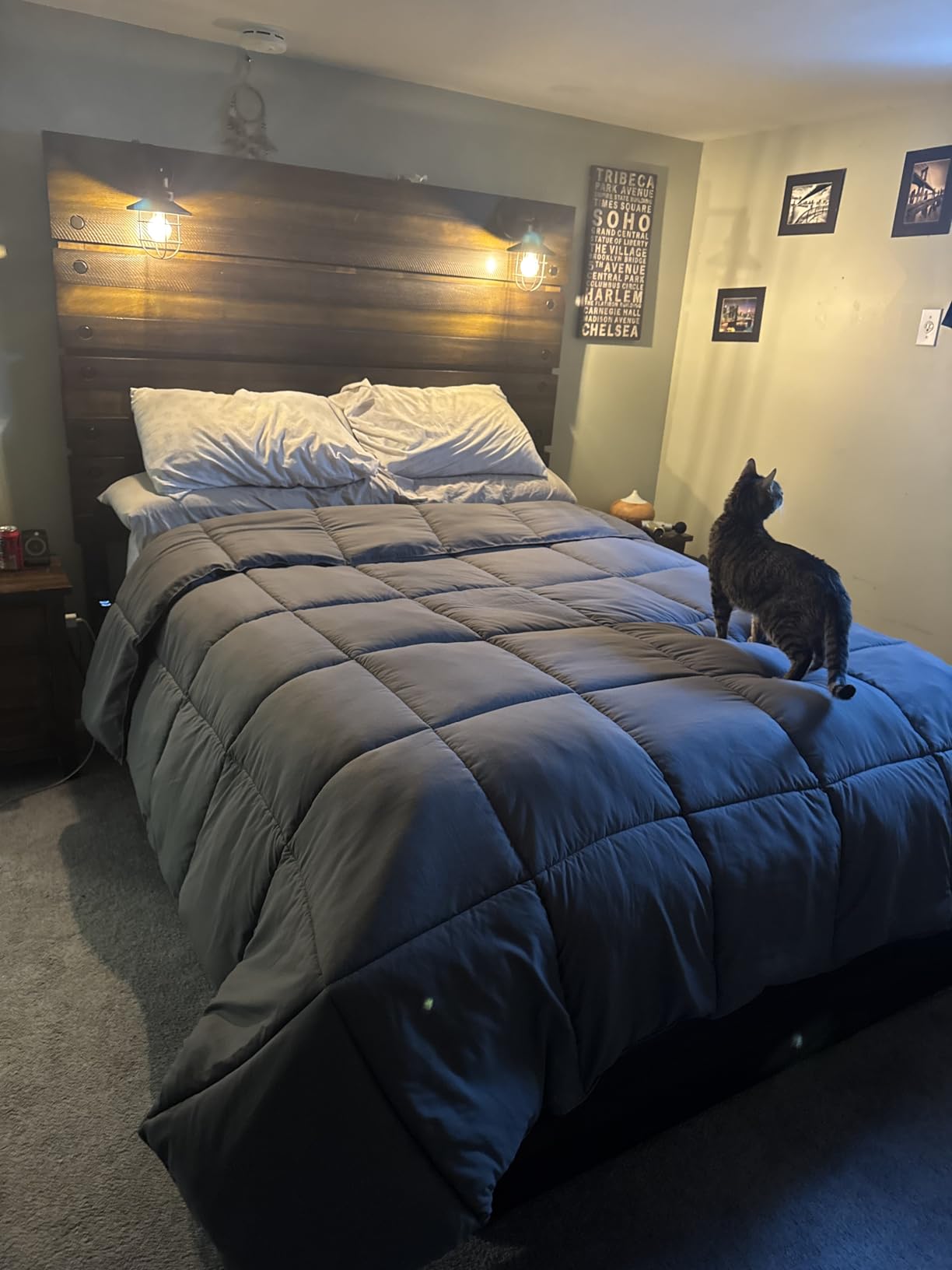 TEXARTIST Premium 2100 Series Queen Comforter All Season Breathable White Comforter Soft 4D Spiral Fiber Quilted Down Alternative Duvet Insert with Corner Tabs Luxury Hotel Style (88x88) customer photo 2