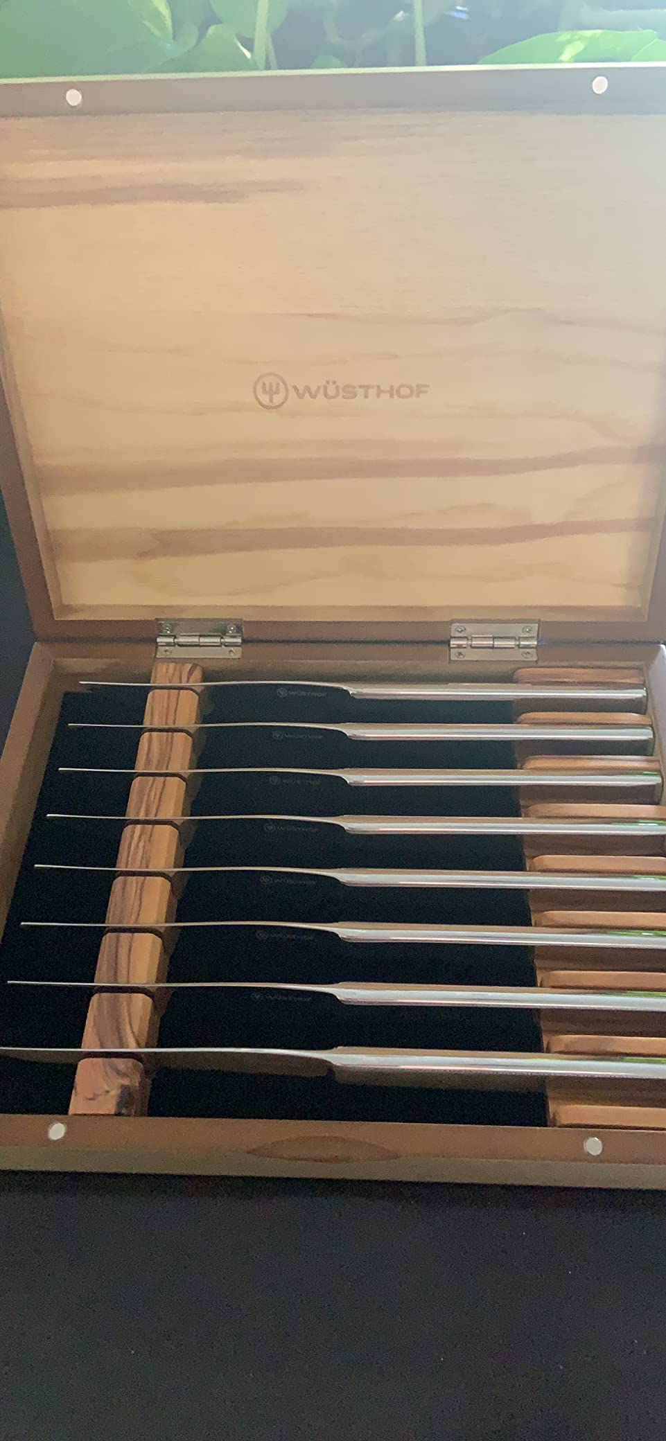 WUSTHOF 8-Piece Stainless Mignon Steak Knife Set, Silver customer photo 2