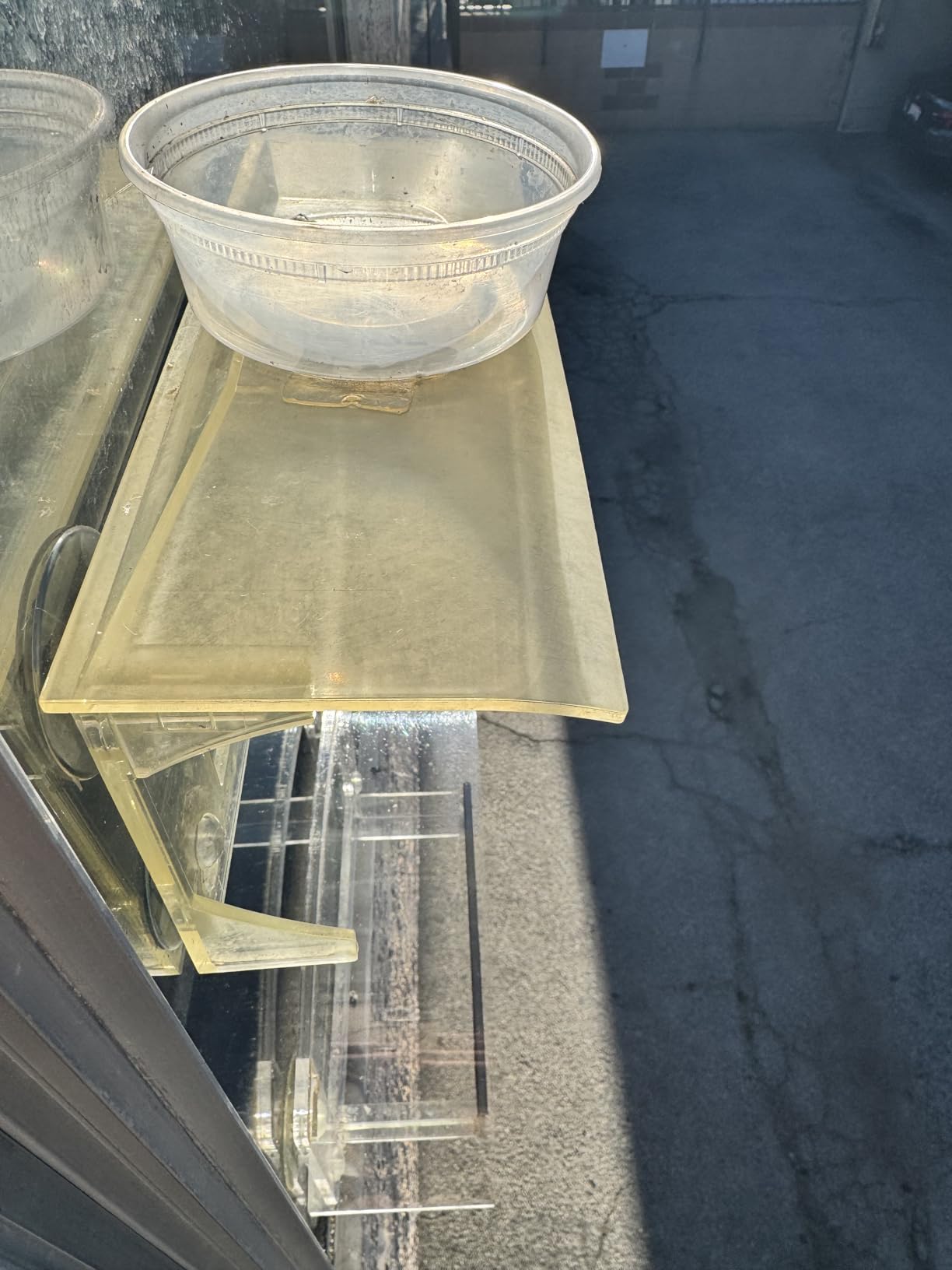 Window Bird Feeder with Strong Suction Cups - (Upgraded 2026 Model) Clear Acrylic Feeder customer photo 1