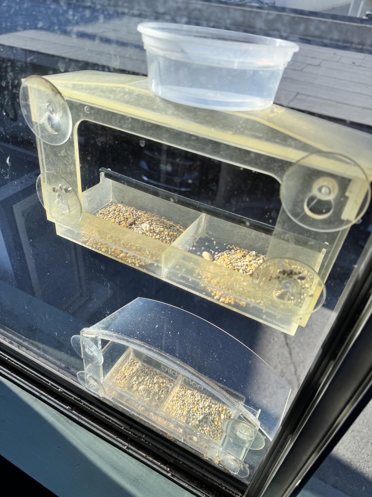 Window Bird Feeder with Strong Suction Cups - (Upgraded 2026 Model) Clear Acrylic Feeder customer photo 2