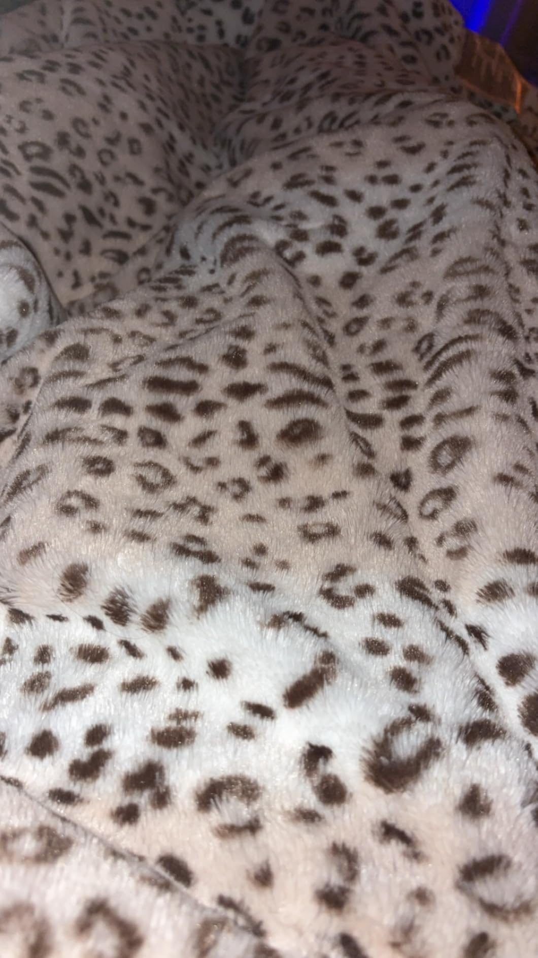 Westinghouse Heated Throw Blanket, Electric Blanket Throw with 6 Heating Levels and 2-10 Hours Time Settings, Flannel to Sherpa Super Cozy Heated Blanket Machine Washable, 50x60 inch customer photo 1