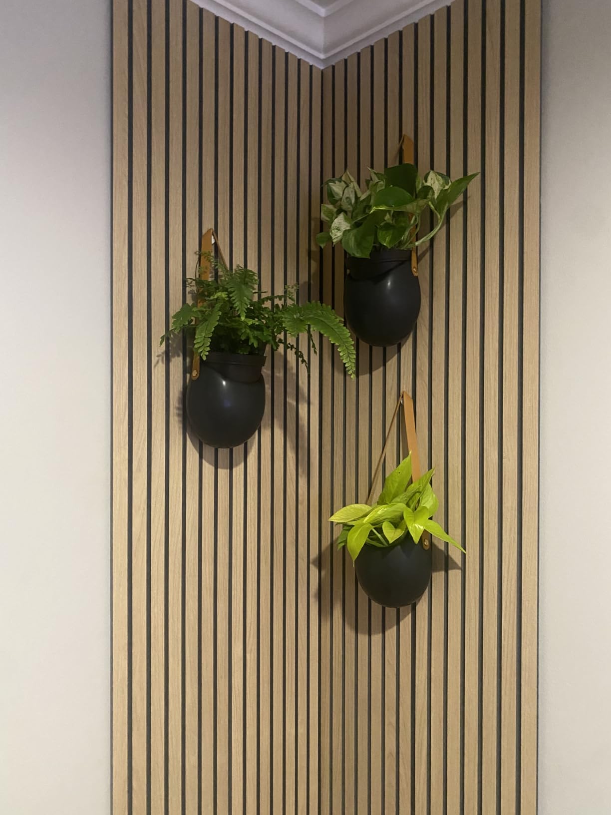 Kazai. Wall Planters -Ellie- | Hanging Ceramic Plant Pots 3 Pieces | Wall Decoration for Indoors, Balcony and Garden | Graphite (Matte) customer photo 2