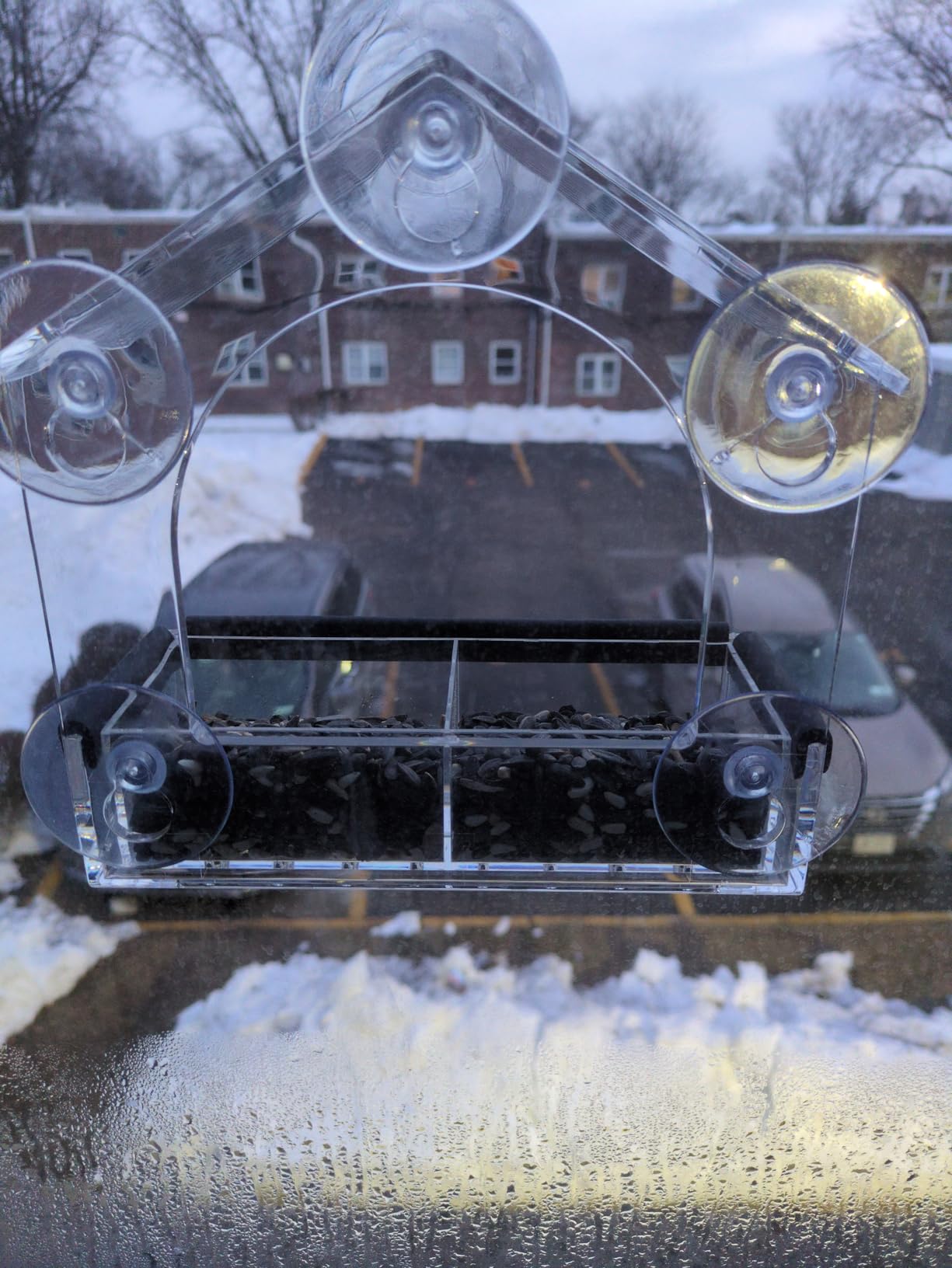 Clear Window Bird Feeder with 5 Extra Strong Suction Cups, DY-SKTY Sturdy and Durable Acrylic Birdfeeders customer photo 2