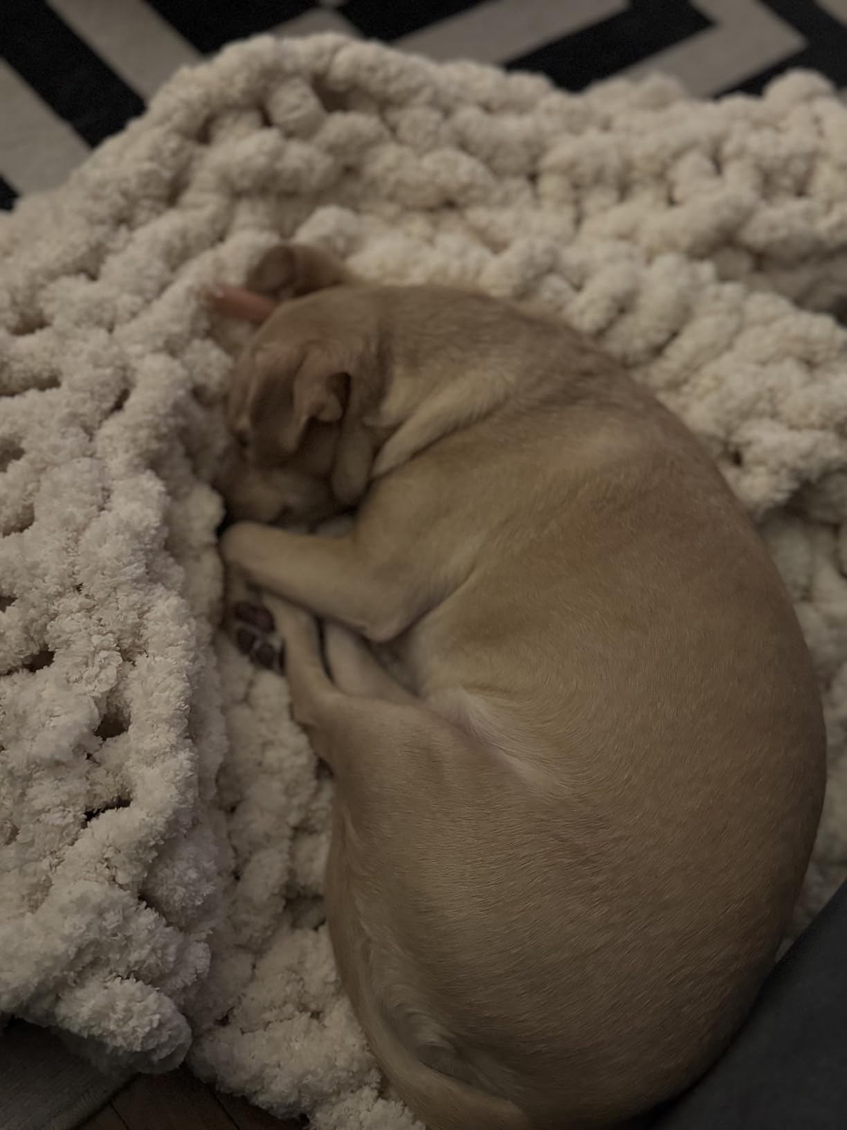 Adyrescia Chunky Knit Blanket Throw, 100% Hand Knit with Jumbo Chenille Yarn 50x60, Sage Green customer photo 2