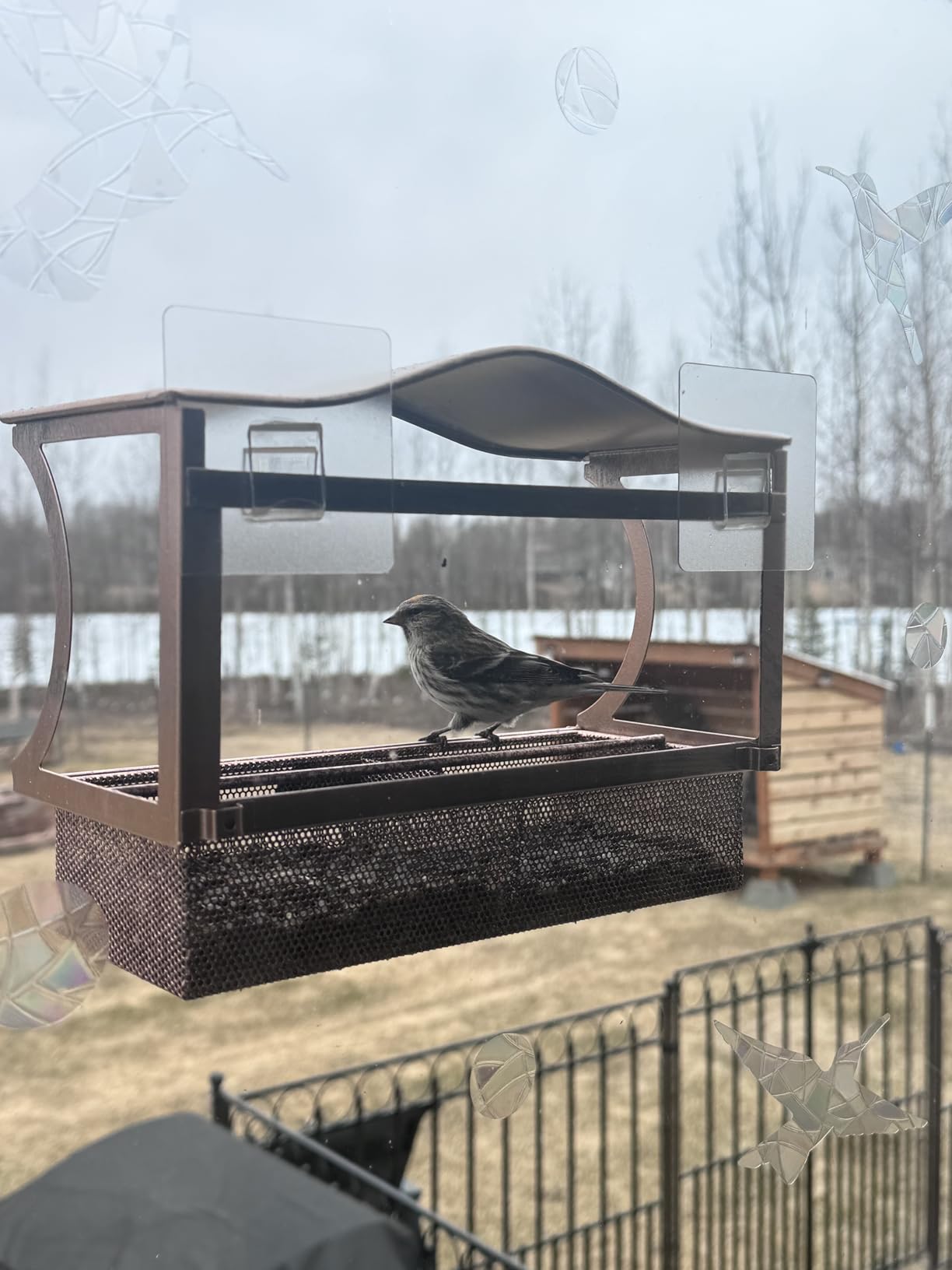 Window Bird Feeder, Metal - with Strong Suction Cups, Large Outdoor for Viewing Bird Watching Gift (Curved) customer photo 2