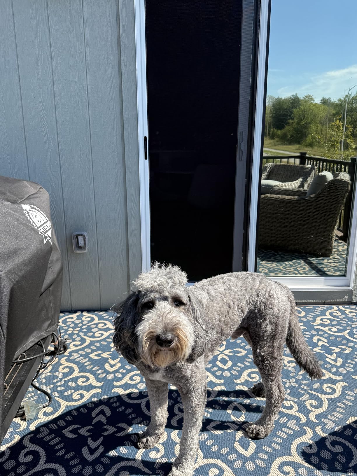 Custom Size Sliding Patio Screen Door Kit - Made to Order Aluminum Frame, Assembly Required, Locking Handle, 5 Color Options, Optional PetScreen Mesh customer photo 1