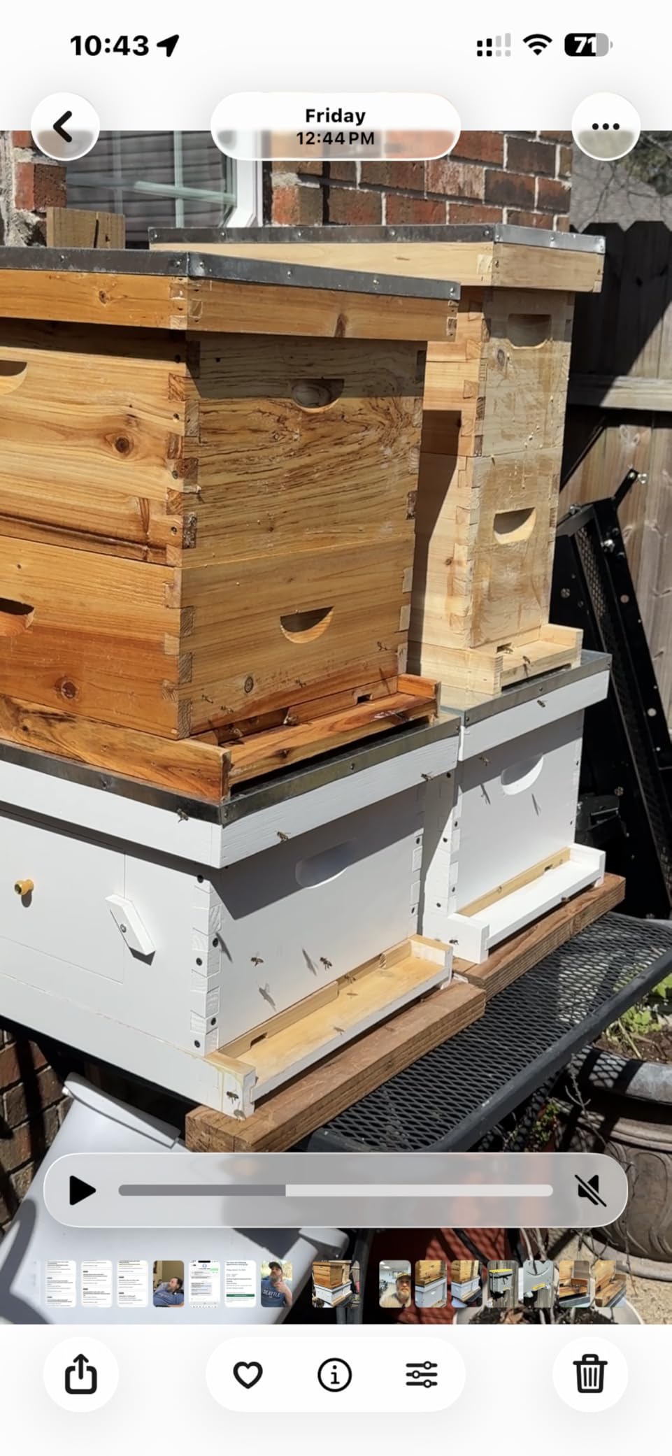 10-Frame Bee Hive Complete Beehive Kit Beeswax Coated Beehive Include Frames and Foundation Sheets for All Beekeeping Levels (1 Deep & 1 Medium Bee Boxes) customer photo 1