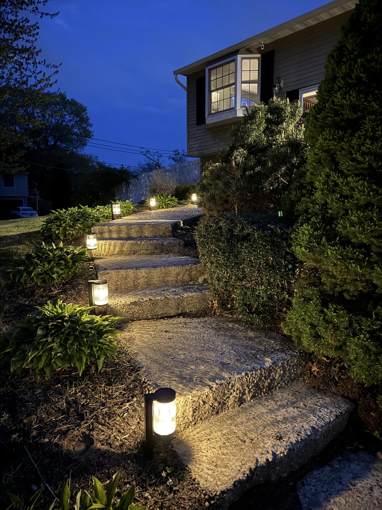 ELECLINK Solar Pathway Lights Outdoor, 6 Pack Upgraded Outdoor Solar Lights for Outside Super Bright Up to 12Hrs, IP65 Waterproof Solar Garden Lights for Yard Path Sidewalk Driveway Landscape Lighting customer photo 1